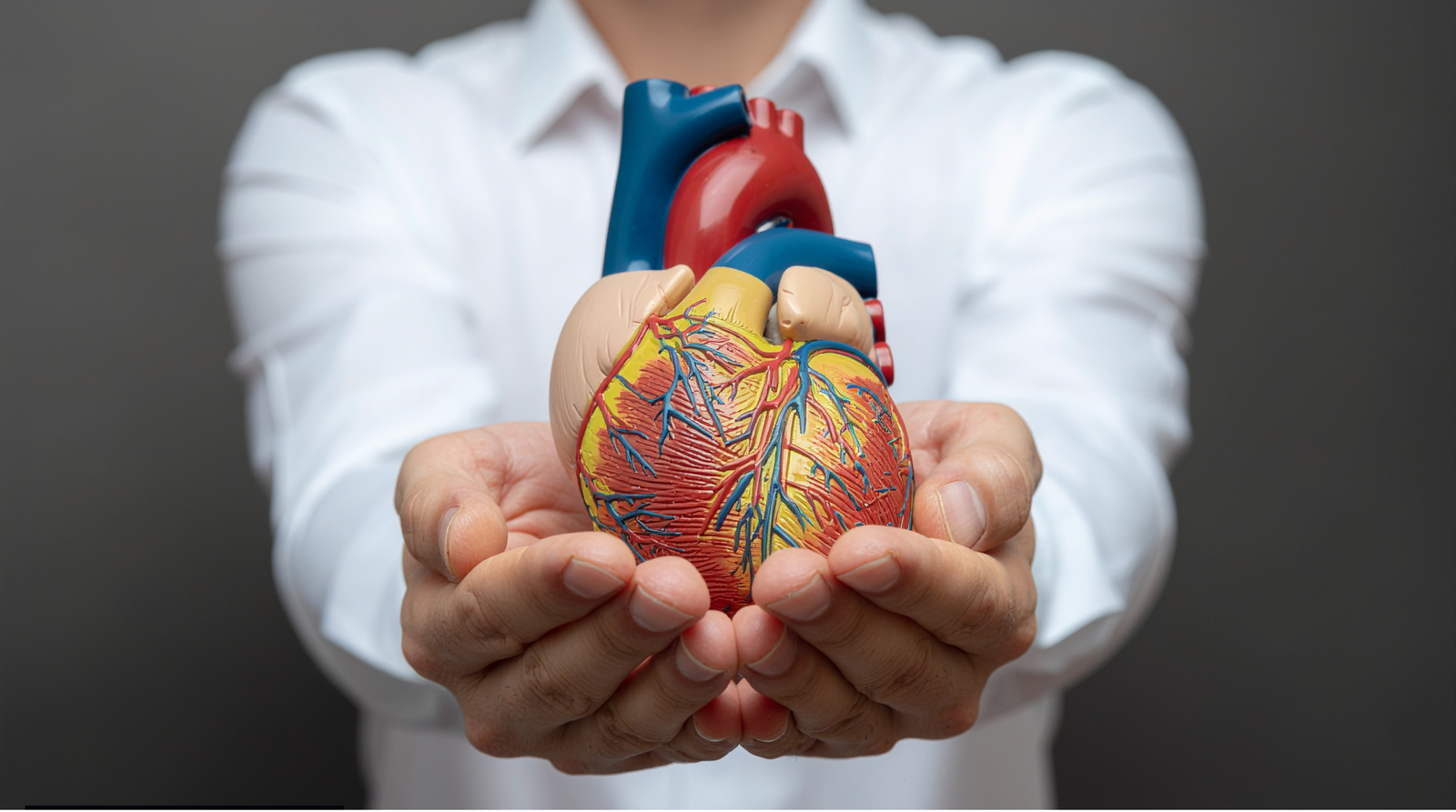 cardiology